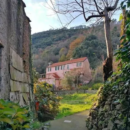 La Casa Di Mo *